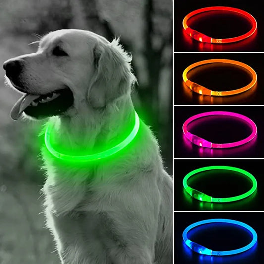 Luminous Dog/Cat Collar