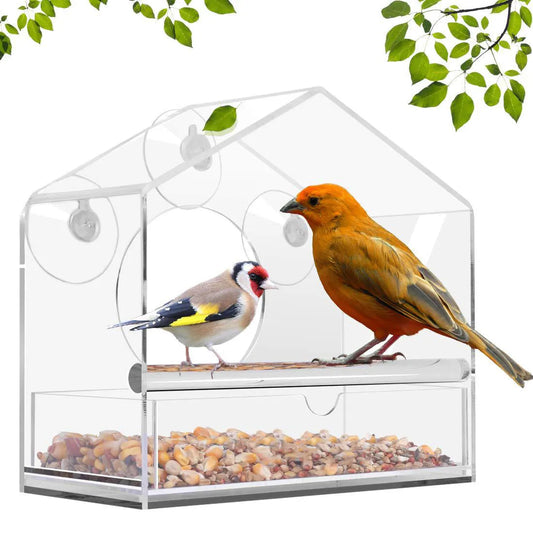 Bird Feeder Acrylic Transparent Window